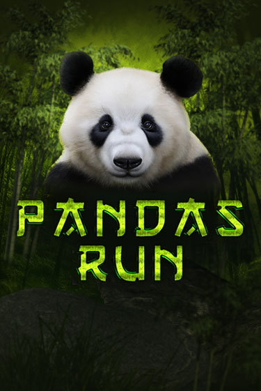 Panda's Run от TomHorn демо версия | VAVADA без регистрации